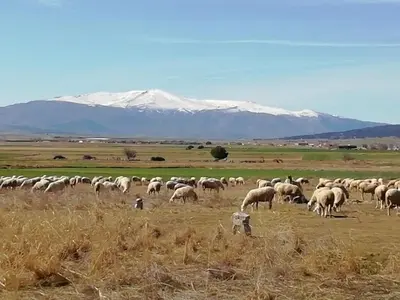 Plano de La Casa de Colores