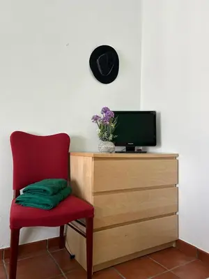 Una televisión o centro de entretenimiento en Casa Rural La Manzanilla