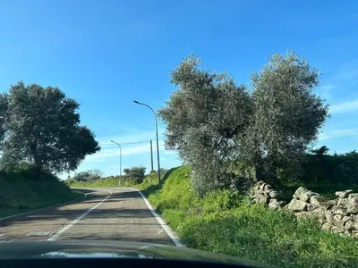 Paisaje cerca de esta casa o chalet