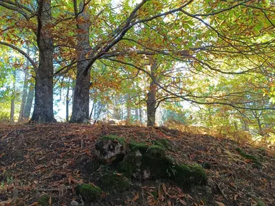 Paisaje cerca de este apartamento