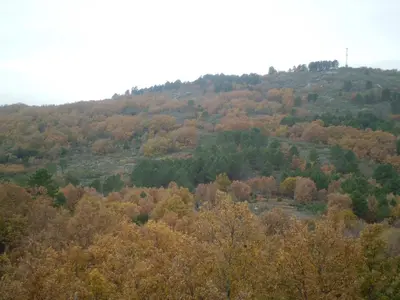 Paisaje cerca de este apartamento