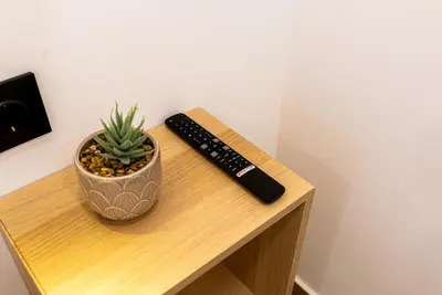 Una televisión o centro de entretenimiento en Apartamentos Cibeles Centro Histórico, Nuevo Establecimiento
