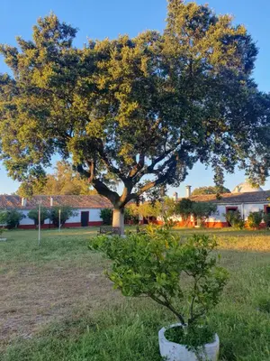 Jardín al aire libre en Hotel Rural El Vaqueril