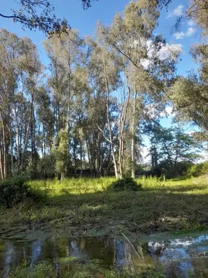 Paisaje cerca de este hotel