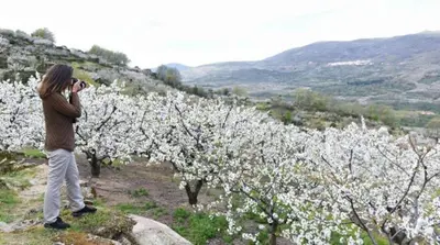 Paisaje cerca de este apartamento