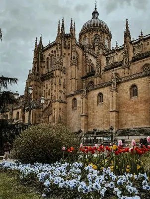 Jardín al aire libre en Centro, Hospital y Campus Universitario a 5 minutos - Camas de primera - Lavadora - SmartTV - Wifi 1 GB - Teletrabajo