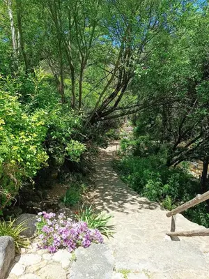 Paisaje cerca de este apartamento