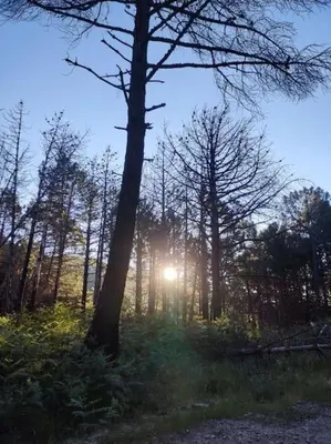 Paisaje cerca de este apartamento
