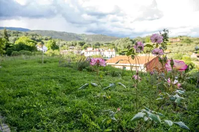 Paisaje cerca de este apartamento