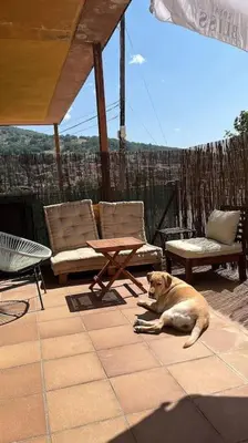 Mascotas con sus dueños en La Casita del Pozo de las Paredes