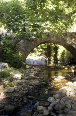 Paisaje cerca of this country house