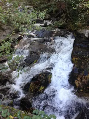 Paisaje cerca de este apartamento