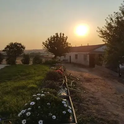 La Granja de Juli