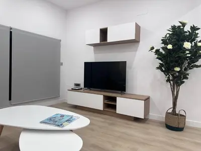 Una televisión o centro de entretenimiento en Apartamentos Paseo de la Estación
