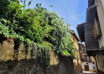 Edificio en el que se encuentra la casa o chalet
