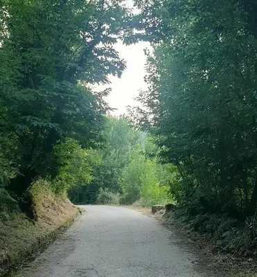 Paisaje cerca de este apartamento