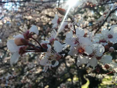 Jardín al aire libre en Casa Rural La Casa de Piedra