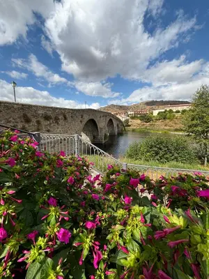 Paisaje cerca of this country house
