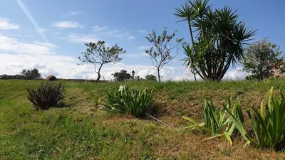 Jardín al aire libre en Finca la Carb0nera