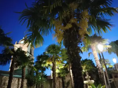 Jardín al aire libre en Apartamento Sanin 3