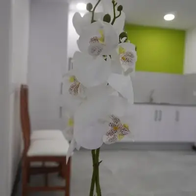 Apartamento Sanin 3