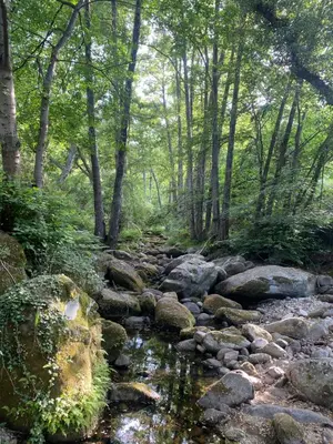 Paisaje cerca de este apartamento