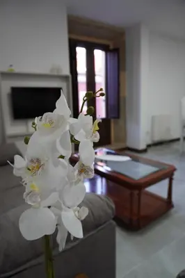 Una televisión o centro de entretenimiento en Duplex Llume - Grupo Apartamentos Sanin