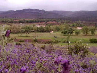 Paisaje cerca of this country house