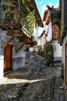El barrio de los alrededores o un barrio cerca de este apartamento