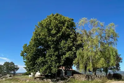 Paisaje cerca de este chalet de montaña