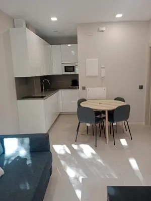 Una cocina o zona de cocina en Apartamentos Living Libreros