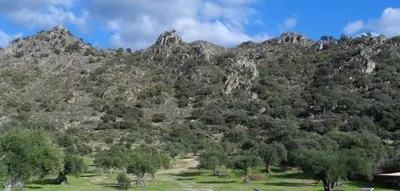 Plano de El Granero at Finca al-manzil