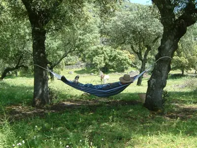 Plano de El Granero at Finca al-manzil