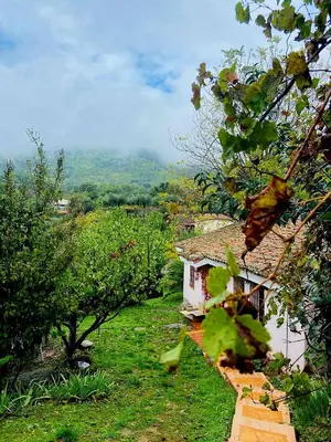 Paisaje cerca of this country house