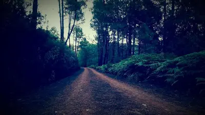 Paisaje cerca of this country house