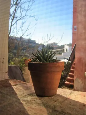 Paisaje cerca de esta casa o chalet