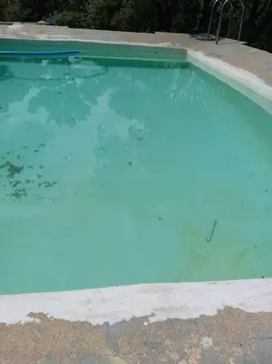 Piscina en o cerca de Casa en campo para desconectar en Madrid con Animales