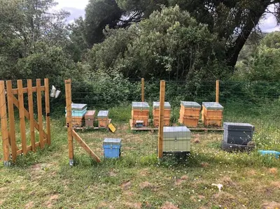 Jardín al aire libre en Casa en campo para desconectar en Madrid con Animales