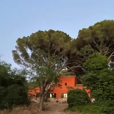 Casa en campo para desconectar en Madrid con Animales