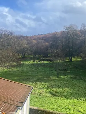 Paisaje cerca de este apartamento