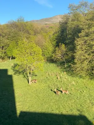 Paisaje cerca de este apartamento