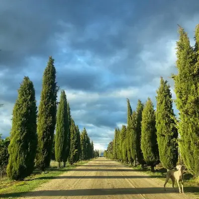 Paisaje cerca de este hotel