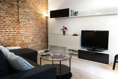 Una televisión o centro de entretenimiento en Loft Plaza Salamanca