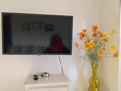 Una televisión o centro de entretenimiento en Vut Castaño