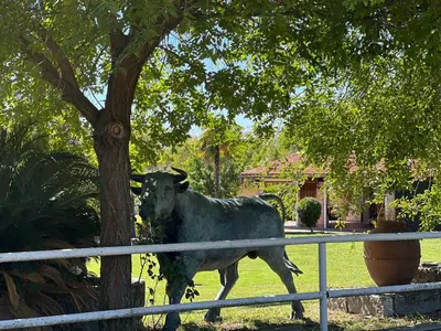 Animales en la villa o alrededores