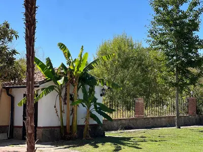 Jardín al aire libre en Casablanca