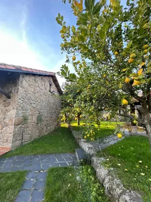 Jardín al aire libre en As Tres Irmas
