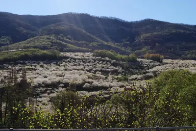 Paisaje cerca de este hotel