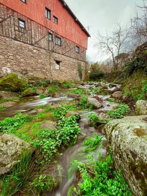 Paisaje cerca de este apartamento