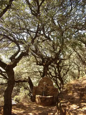 Paisaje cerca of this country house